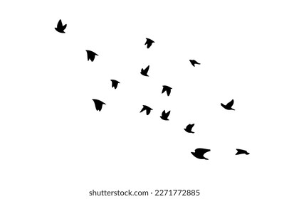 A flock of flying birds. Free birds. Vector illustration