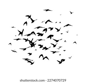 A flock of flying birds. Free birds. Vector illustration