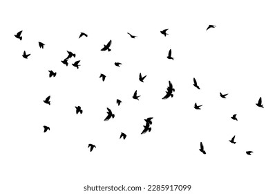 A flock of flying birds. Free birds. Vector illustration