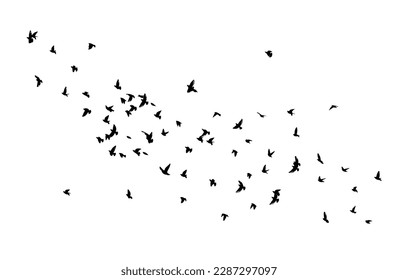 A flock of flying birds. Free birds. Vector illustration