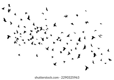 A flock of flying birds. Free birds. Vector illustration