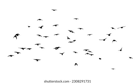 A flock of flying birds. Free birds. Vector illustration