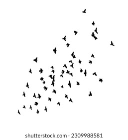 A flock of flying birds. Free birds. Vector illustration