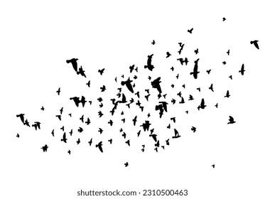 A flock of flying birds. Free birds. Vector illustration