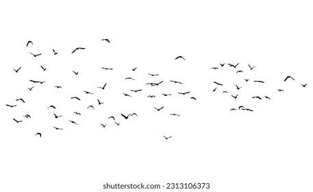 A flock of flying birds. Free birds. Vector illustration