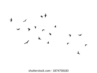 Flock of flying birds isolated on white background. Vector