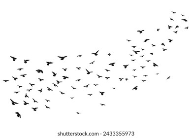 Una bandada de aves voladoras, vector aislado. Despegue, vuelo, vuelo, aleteo, vuelo estacionario, alza, aterrizaje