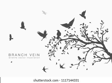 flock of flying birds on tree branch tree with leafs