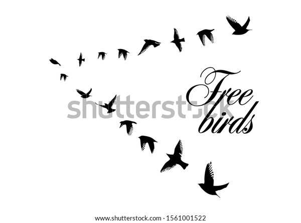飛ぶ鳥の群れ 鳥の群れが南へ飛んでいく ベクターイラスト のベクター画像素材 ロイヤリティフリー