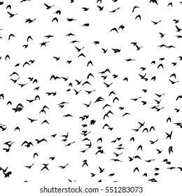A flock flying birds  seamless background  Vector