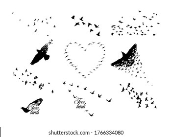 A flock of flying birds. Set of different bird flocks. Vector illustration