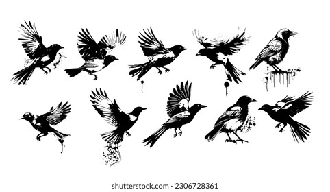 A flock of flying birds. Set of monochrome flying birds. Vector illustration