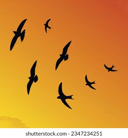 Flock of flying birds in a set of vector silhouettes