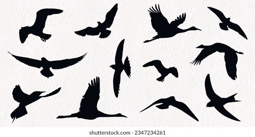 Flock of flying birds in a set of vector silhouettes