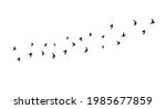 A flock of flying birds. Side view. Vector illustration
