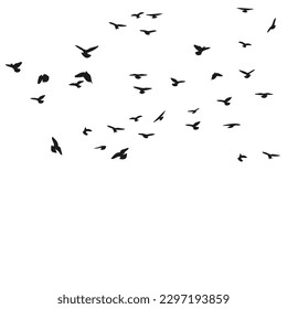 A flock of flying birds silhouette, flight in different positions. Hover, soaring, landing, flying, flutter. Isolated vector