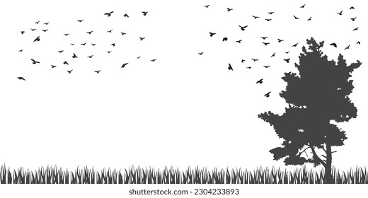 A flock of flying birds silhouette, flight in different positions. Hover, soaring, landing, flying, flutter.