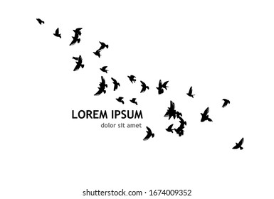 Una bandada de silueta de pájaros voladores. Ilustración del vector