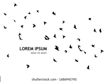 A flock of flying birds silhouette. Vector illustration