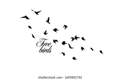 A Flock Of Flying Birds Silhouette. Vector Illustration