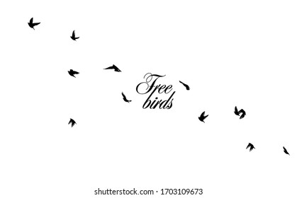 A flock of flying birds silhouette. Vector illustration