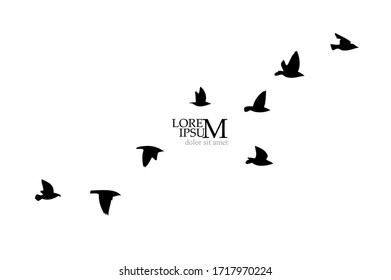 A flock of flying birds silhouette. Vector illustration