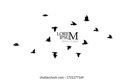 A flock of flying birds silhouette. Vector illustration