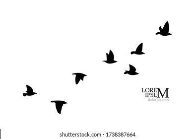 A flock of flying birds silhouette. Vector illustration
