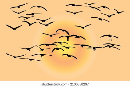 Flock of flying birds. Silhouette vector. Isolated flying birds. Tattoo design.