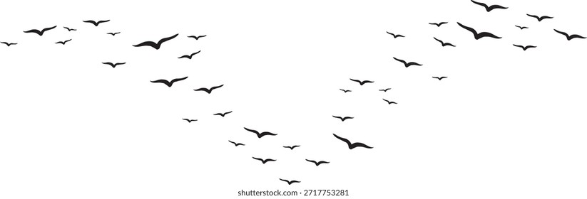 A flock of flying birds. silhouette of flying birds Vector illustration, flock silhouettes isolated on white background