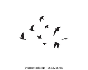 A flock of flying birds silhouettes in the white background. Wild Birds flying vector illustration.