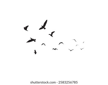 A flock of flying birds silhouettes in the white background. Wild Birds flying vector illustration.