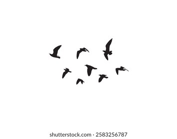 A flock of flying birds silhouettes in the white background. Wild Birds flying vector illustration.