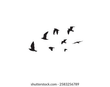 A flock of flying birds silhouettes in the white background. Wild Birds flying vector illustration.