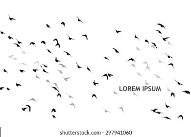 A flock of flying birds. starlings. vector