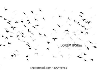 A flock of flying birds. starlings. vector