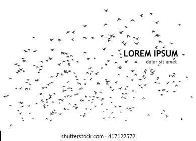 A flock of flying birds. starlings. vector