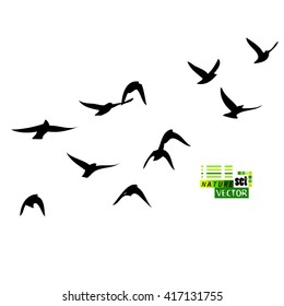 A flock of flying birds. starlings. vector