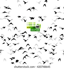 A flock of flying birds. starlings. vector