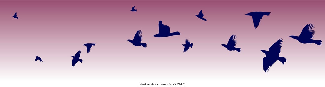 A flock of flying birds. starlings. vector
