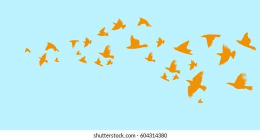 A flock of flying birds. starlings. vector