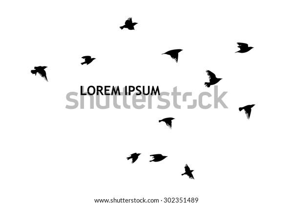 飛ぶ鳥の群れ スターリング ベクター画像 のベクター画像素材 ロイヤリティフリー