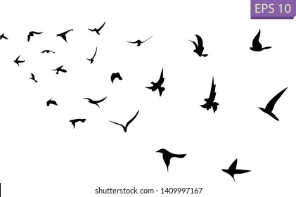 A flock of flying birds. Transparent background