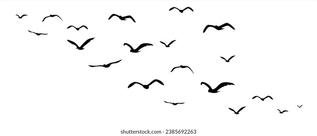 A Flock of Flying Birds. Vector 10 eps.