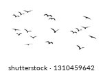 A flock of flying birds. Vector