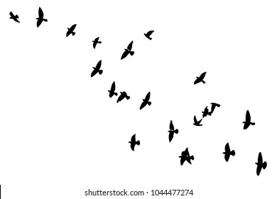 Flock Flying Birds Vector Stock Vector (Royalty Free) 1044477274 ...