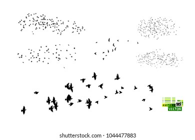 Flock of flying birds. Vector