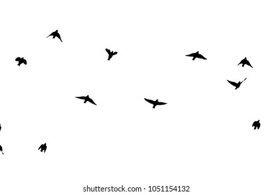 Flock of flying birds. Vector