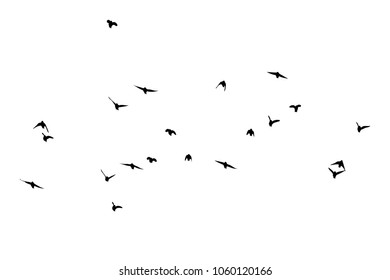 Flock of flying birds. Vector