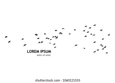 Flock of flying birds. Vector